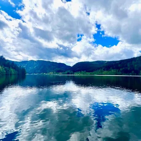 Ideal At The Foot Of The Slopes * Gérardmer